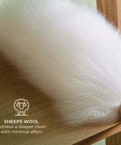 Steffaniconey.shop21f3c67038 4