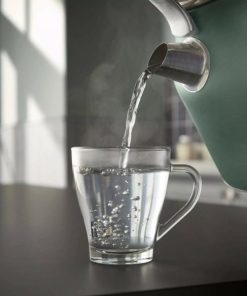 Steffaniconey.shop62cc1fdf6b 3