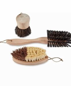 Steffaniconey.shopc1aff16a71 1